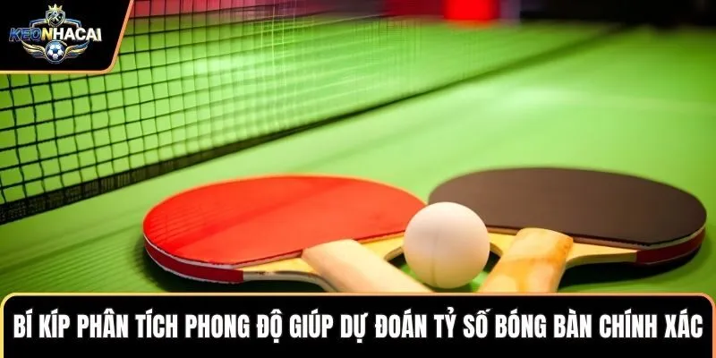 Bí kíp phân tích phong độ giúp dự đoán tỷ số bóng bàn chính xác