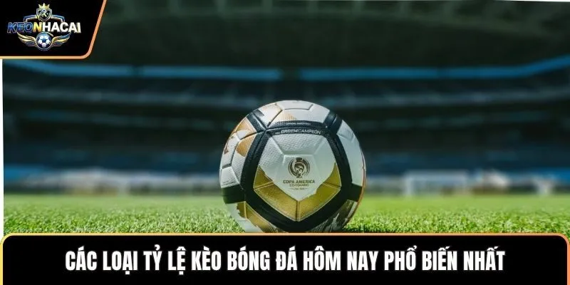 Các loại tỷ lệ kèo bóng đá hôm nay phổ biến nhất