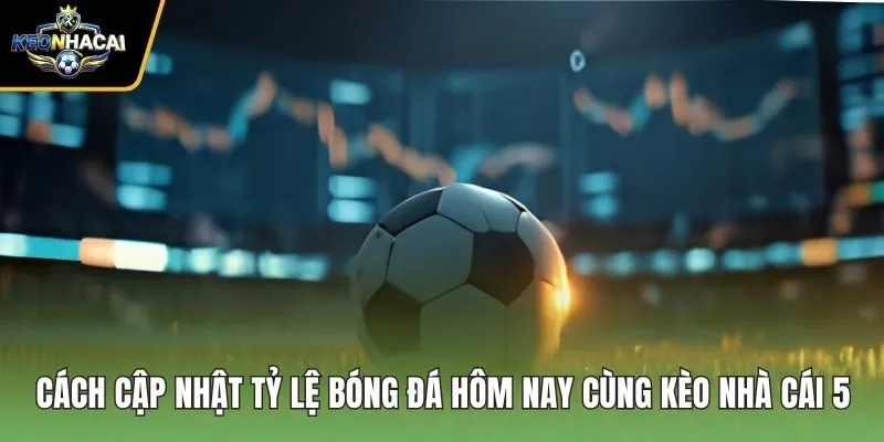 Cách Cập Nhật Tỷ Lệ Bóng Đá Hôm Nay Cùng Kèo Nhà Cái 5