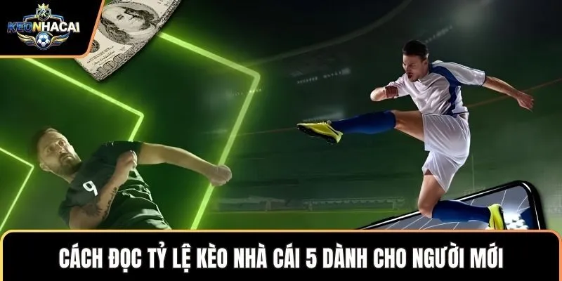Cách đọc tỷ lệ kèo nhà cái 5 dành cho người mới