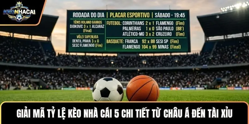 Giải mã tỷ lệ kèo nhà cái 5 chi tiết từ châu Á đến tài xỉu