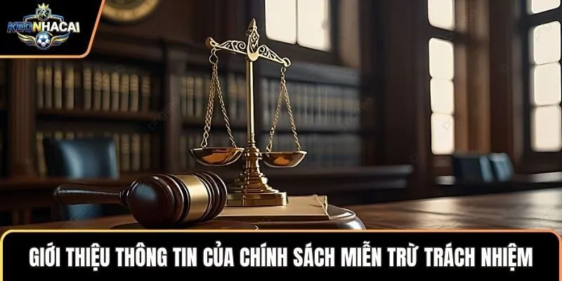 Giới thiệu thông tin của chính sách miễn trừ trách nhiệm