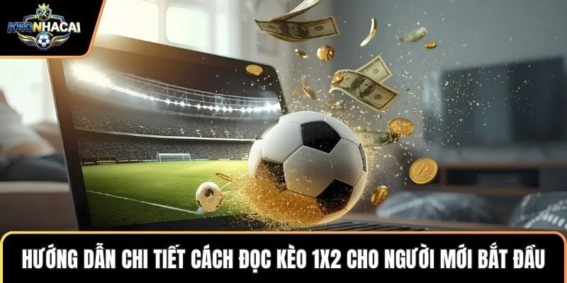 Hướng dẫn chi tiết cách đọc kèo 1x2 cho người mới bắt đầu
