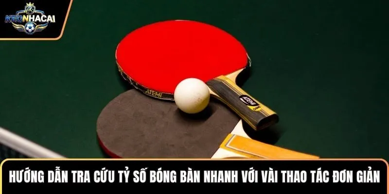 Hướng dẫn tra cứu tỷ số bóng bàn nhanh với vài thao tác đơn giản