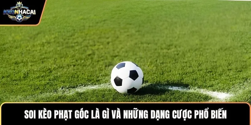 Soi kèo phạt góc là gì và những dạng cược phổ biến