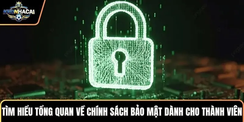 Tìm hiểu tổng quan về chính sách bảo mật dành cho thành viên