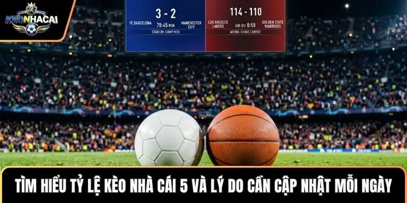 Tìm hiểu tỷ lệ kèo nhà cái 5 và lý do cần cập nhật mỗi ngày