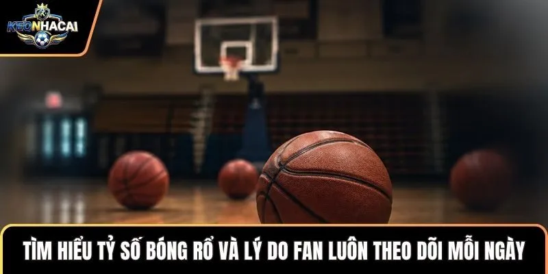 Tìm hiểu tỷ số bóng rổ và lý do fan luôn theo dõi mỗi ngày