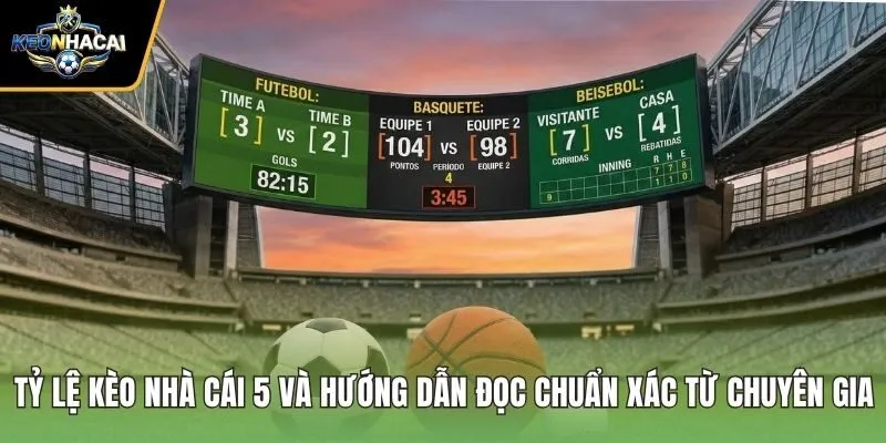 Tỷ Lệ Kèo Nhà Cái 5 Và Hướng Dẫn Đọc Chuẩn Xác Từ Chuyên Gia